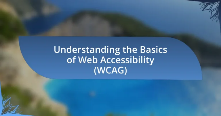 Understanding the Basics of Web Accessibility (WCAG)