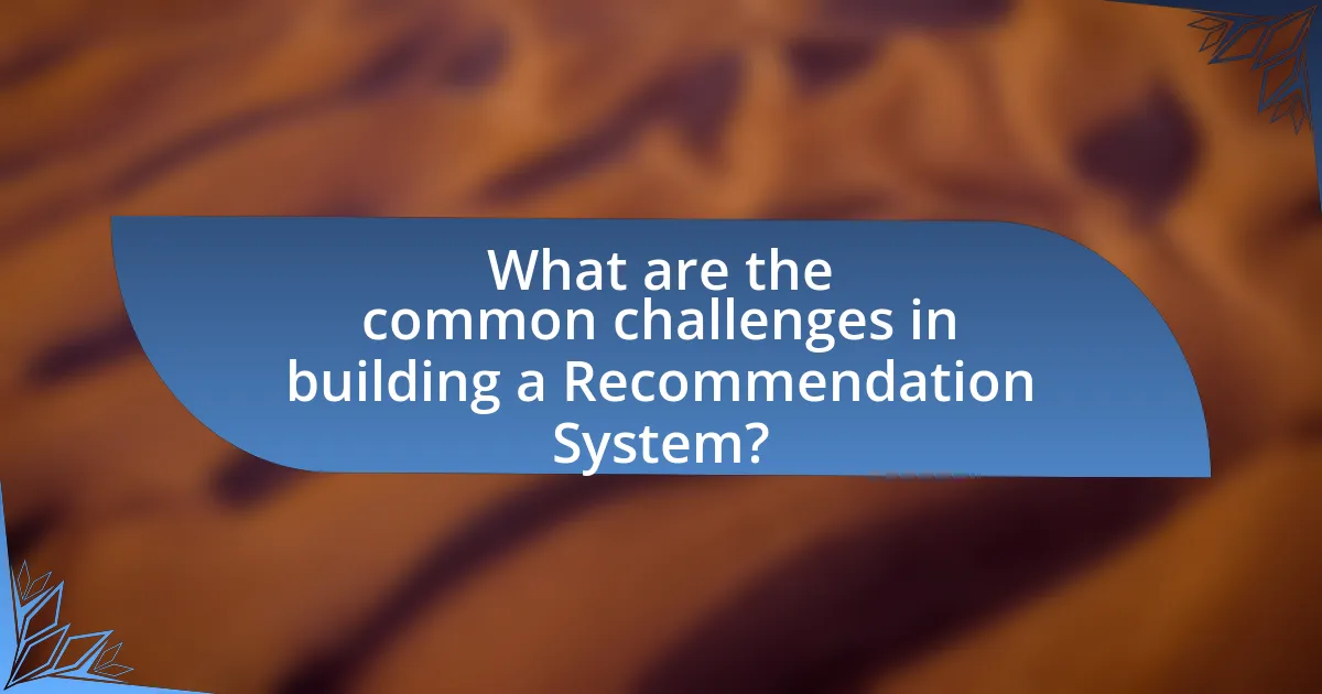 What are the common challenges in building a Recommendation System?